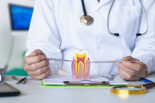 Best Cracked Tooth Emergency Dentist  in Wellton, AZ